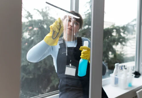 Nettoyage de vitres intérieures et extérieures à Schleithal